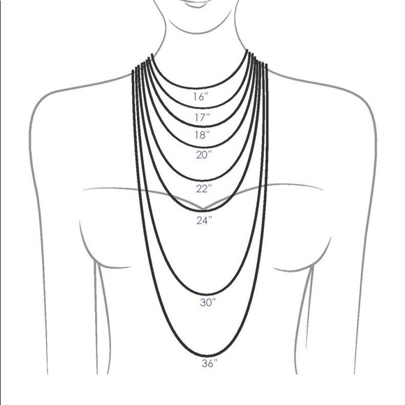 *Posh Ambassador* - Picture 4 of 4